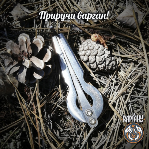 Варган Глазырина - Компас с чехлом/футляром